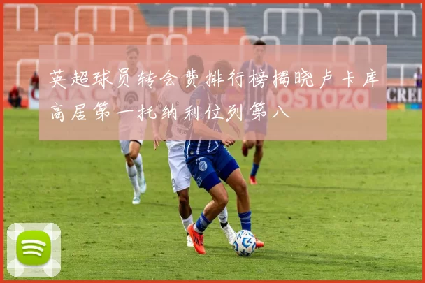 英超球员转会费排行榜揭晓卢卡库高居第一托纳利位列第八